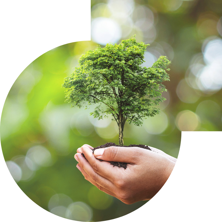 关怀人类、文化、环境与社会